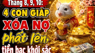 Tháng 8, 9, 10: 4 Shbet888.com nhà cái uy tín Xóa Nợ phất lên, tiền bạc khởi sắc