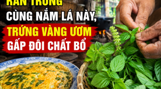 Rán trứng cùng nắm lá này, trứng vàng ươm gấp đôi chất bổ