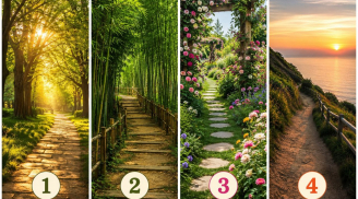 Chọn một lối đi mà bạn cho là bình an nhất: Khuyenmai SHBET pages dev khả năng nắm bắt cơ hội của bạn