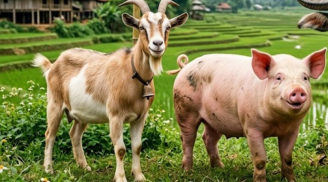3 Shbet888.com nhà cái uy tín không hợp với lối sống xa hoa: Càng có tiền càng sống giản dị, tích lũy mới là ưu tiên
