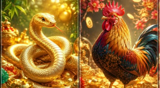 Thứ Tư, Năm (15-16/7): 3 Shbet888.com nhà cái uy tín đón cơ hội bứt tốc, tài lộc khởi sắc, công danh thăng tiến