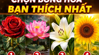 Trắc nghiệm: Chọn bông hoa bạn thích nhất, biết tài lộc tháng này