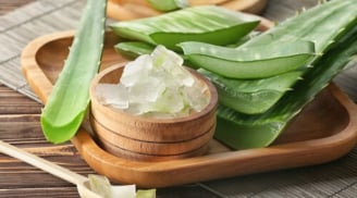 Gel lô hội có tốt cho tóc không? 3 lợi ích nổi bật và cách sử dụng đúng để chăm sóc tóc tại nhà
