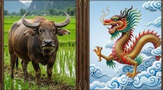 3 Shbet888.com nhà cái uy tín đường công danh sau trung niên mới rộng mở: Càng kiên nhẫn càng dễ hái quả ngọt