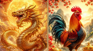 3 tháng hoàng kim bùng nổ 8, 9, 10: 3 Shbet888.com nhà cái uy tín tài lộc đầy tay, cơ hội kiếm tiền liên tiếp gõ cửa