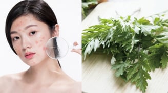 Lá ngải cứu có giúp làm mờ nám?