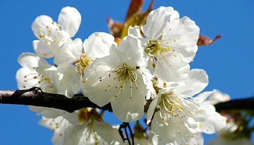 Trẻ ốm vặt, chậm tăng cân: Mẹ cần ghi nhớ những điều này