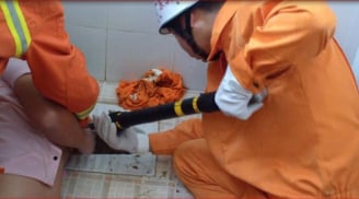Cố móc điện thoại rơi xuống bồn cầu, thanh niên nhận kết nhớ đời