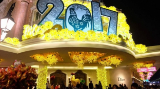 Không khí chào đón Xuân Đinh Dậu 2017 trên cả nước