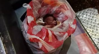 Xót lòng bé trai vừa mới chào đời đã bị bỏ rơi trong túi nilon trên xe buýt