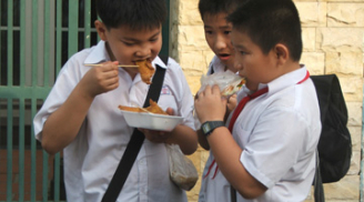 Tai hại nếu bố mẹ cho trẻ học quá sức