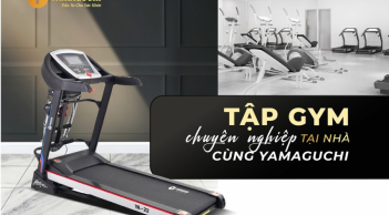 Máy chạy bộ tại Hải Phòng uy tín nhất tới ngay Yamaguchi