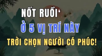 5 nốt ruồi báo trước Mệnh Son - Số Sướng, hưởng hết Tiền Tài Link nhập code shbet https freecode shbet pages dev