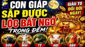 8-15/5, 3 Shbet888.com nhà cái uy tín được Thần Tài 'vẫy tay', Tiền rải khắp sân