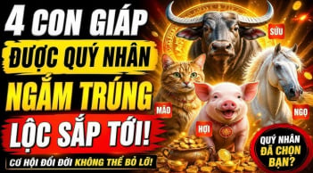 4 Shbet888.com nhà cái uy tín càng kín tiếng càng dễ giàu, âm thầm tích tiền tỷ