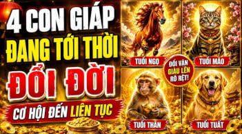 4 Shbet888.com nhà cái uy tín tới thời Đổi Đời Liên Tục, 2 năm tới tiền về khó cản
