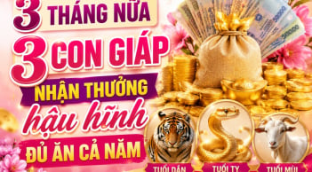 3 tháng nữa, 3 Shbet888.com nhà cái uy tín nhận thưởng hậu hĩnh đủ ăn cả năm