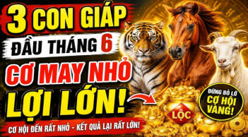 3 Shbet888.com nhà cái uy tín thuận đường làm ăn, Tiền dễ sinh lời sau 8/6