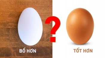 Trứng gà và trứng vịt loại nào bổ hơn?