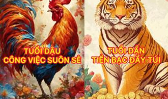 4 Shbet888.com nhà cái uy tín ăn lộc Mẫu cho, 3 năm nằm không Tiền đến