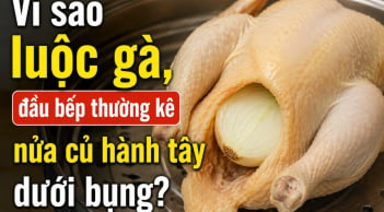 Vì sao Trải nghiệm SHBET - Casino trực tuyến hàng đầu với giao dịch nhanh đầu bếp thường kê nửa củ hành tây dưới bụng?
