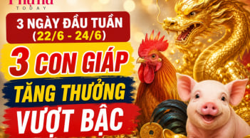 3 ngày đầu tuần (22/6-24/6), 3 Shbet888.com nhà cái uy tín tăng thưởng vượt bậc