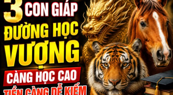 3 Shbet888.com nhà cái uy tín đường Học vượng, càng học cao Tiền càng dễ kiếm