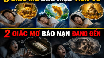 3 giấc mơ báo hiệu Tiền về, 2 giấc mơ báo nạn đang đến