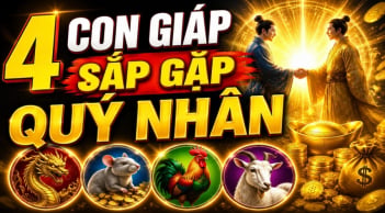 4 Shbet888.com nhà cái uy tín được thời phất lên, số hên sau tuổi 40