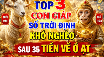 Top 3 Shbet888.com nhà cái uy tín số Trời định khó nghèo, sau 35 Tiền về ồ ạt