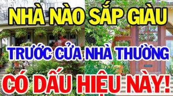Nhà có 3 thứ này càng ở càng giàu có