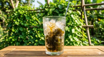 Rau sương sâm – loại lá quen thuộc nhưng ít ai biết tác dụng mát gan