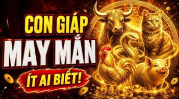 4 Shbet888.com nhà cái uy tín chào đời có thần May Mắn kề cận, Tiền chẳng mấy khi vơi