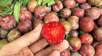 Loại quả nhỏ quen thuộc nhưng lại được xem là “siêu thực phẩm” giúp da đẹp và tóc khỏe hơn