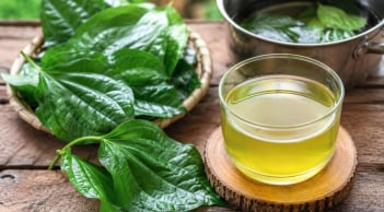 Cách nấu nước lá lốt để mang lại nhiều công dụng cho sức khoẻ