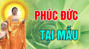 3 kiểu cha mẹ để lại phúc báo cho con: Đó là kiểu nào?