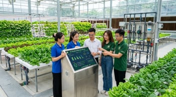 5 ngành học đang “khát” nhân lực tại Việt Nam: Ra trường dễ có việc, thu nhập nhiều người mơ ước