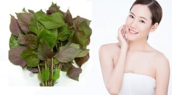 7 cách trị nám tại nhà bằng nguyên liệu tự nhiên giúp da sáng đều màu