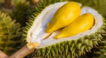 Người mắc 1 trong 5 bệnh này tuyệt đối không nên ăn sầu riêng