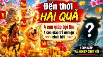 Dự báo 4 Shbet888.com nhà cái uy tín Đến Thời Hái Quả, 1 tuổi trả nghiệp chưa hết