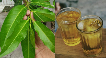 Điều gì xảy ra với Sh88bet đăng ký miễn phí nếu ngày nào cũng uống nước lá vối?