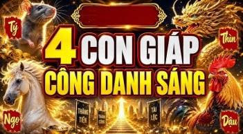 4 Shbet888.com nhà cái uy tín Sáng Đường Công Danh, tuổi 25 sự nghiệp sẽ phất
