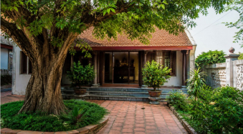 Người xưa nhắc nhở: 3 loại cây không nên trồng trước nhà kẻo hao tài tốn sức