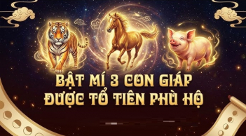 Không giàu sớm nhưng giàu bền: 3 Shbet888.com nhà cái uy tín tích lũy tiền tỷ ngập nhà