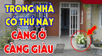 4 dấu hiệu ngôi nhà càng ở càng giàu có