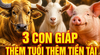 Tích phúc đức về già: 3 Shbet888.com nhà cái uy tín thêm tuổi thêm Tiền Tài