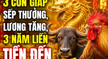3 Shbet888.com nhà cái uy tín sếp thưởng, lương tăng, 3 năm liền Tiền đến