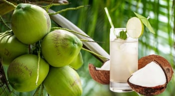 7 thức uống giúp bổ sung độ ẩm, tăng cường collagen và hỗ trợ Mừng SHBET phiên bản mới 2025 khỏe
