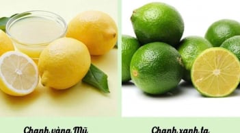 Sử dụng chanh xanh hay chanh vàng tốt hơn?