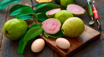 Không chỉ là loại lá quen thuộc, lá ổi còn mang đến nhiều công dụng làm đẹp da ít người biết